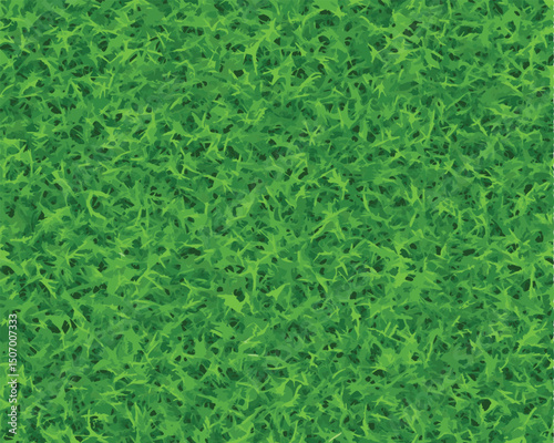 vector fresh green grass  background