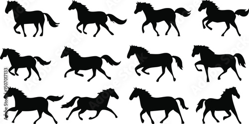 Vector set Illustrating Dynamic Sequence of Black Horse Gait in Minimalist Grid Layout