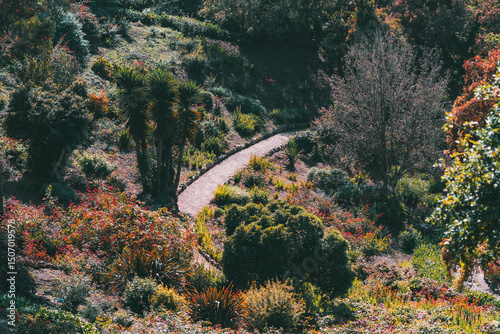 Wallpaper Mural Curving garden path winding through vibrant landscaped vegetation in Sintra, Portugal, surrounded by diverse plants, tropical trees, and colorful seasonal foliage in warm natural light Torontodigital.ca