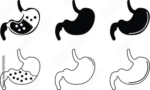 Human stomach vectors flat, outline icons set. Digestive system anatomy. Human internal organ symbols. Health care, medical sign. Oncology procedure silhouette collection on transparent background.