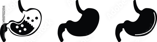 Human stomach vectors flat icons set. Digestive system anatomy. Human internal organ symbols. Health care and medical sign. Oncology procedure silhouette collection isolated on transparent background.