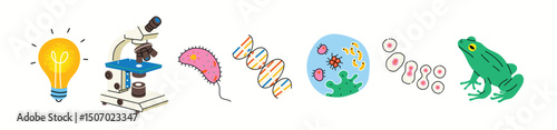 Set of various colorful sciense icons. Microscope, cell structure, cell division, dna. Classic sciense elements for studying. Hand drawn trendy Vector illustration. Isolated elements