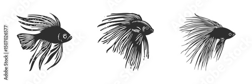 Betta Fish Silhouette Set. Elegant Aquatic Creatures With Flowing Fins Isolated Vector Illustration Collection
