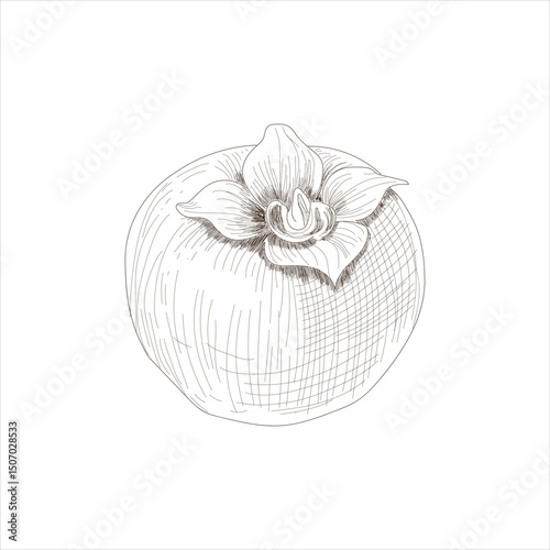 A drawing of a persimmon with a flower on top. The drawing is in black and white and has a simple, elegant style.