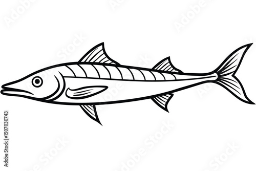 Barracuda Fish Outline Illustration Sharp Teeth Predator of the Ocean Vector Image
