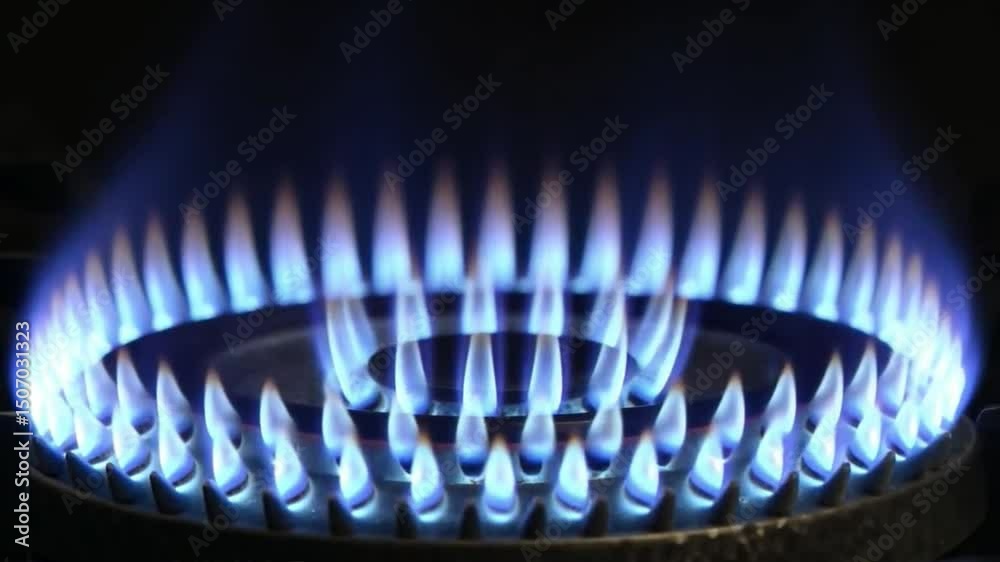 Macro Shot of Ignited Gas Burner with Clean Blue Flames