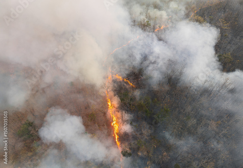 Wildfires release carbon dioxide (CO2) emissions and other greenhouse gases (GHG) that contribute to climate change.
