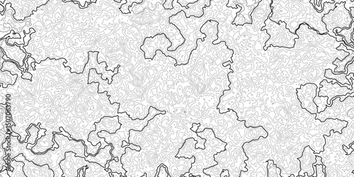 Topographic Background. Abstract wavy and curved lines background. Abstract pattern with Lines. Background of the Topographic Map. Abstract Topographic Map Lines. Monochrome Terrain Lines Art.