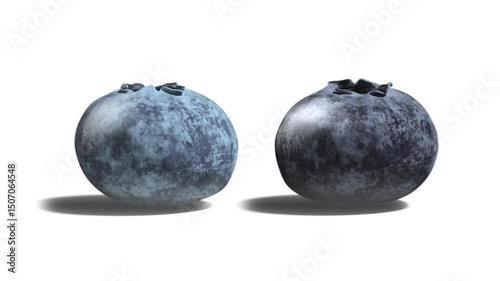 Blueberry and bilberry, looped rotation, isolated on white background