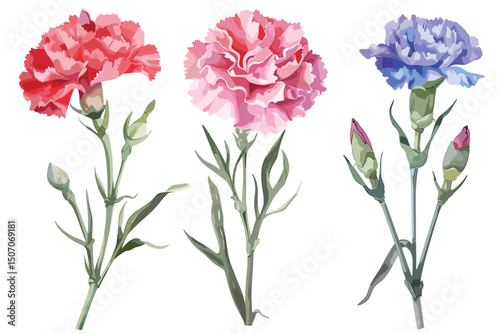 Watercolor flowers, iris, peony. Set. Isolated watercolor flowers