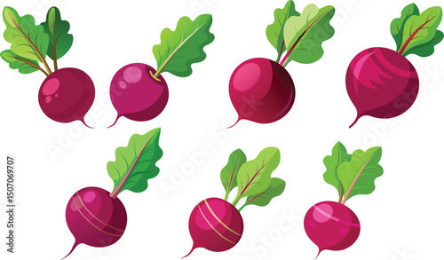 set of  radish, pink turnip  logo icon vector illustration