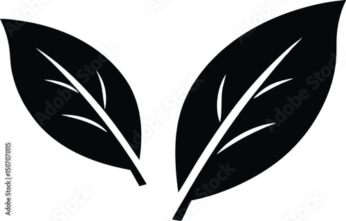 Two leaves with prominent veins are depicted in a stark black color on white