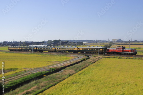 終焉近づく北陸本線を疾走するDD51-1109号機牽引のサロンカーなにわ_2023/11/4撮影