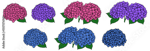 Vector Hydrangea flower bunch and bouquet