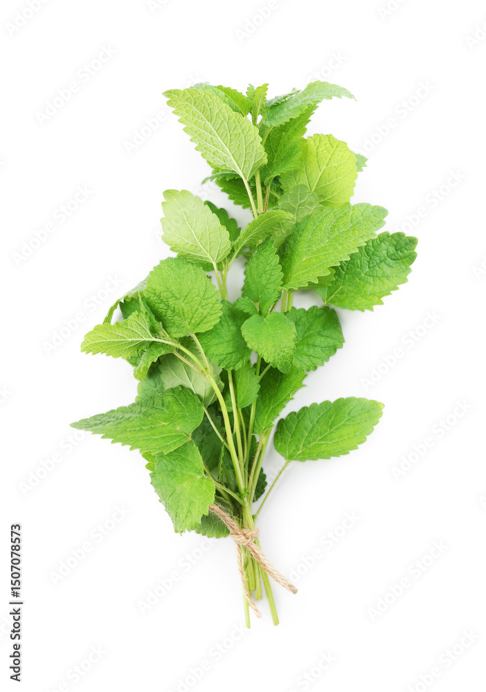 Fresh green lemon balm leaves isolated on white, top view Fresh green lemon balm leaves isolated on white, top view