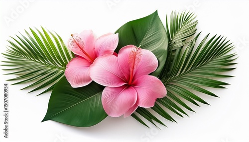 vibrant pink tropical flowers with lush green leaves isolated on white background