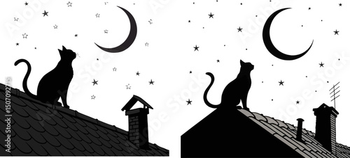 Black Cat Silhouette on Rooftop Stargazing at Moon and Night Sky