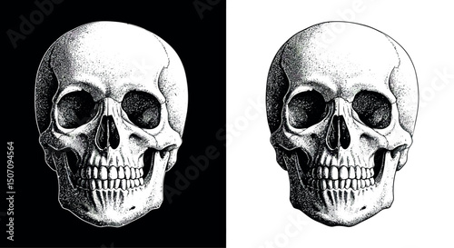 Intricate skull illustration on black and white background for halloween or gothic decor. Vector illustration