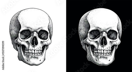 Skull art design in black and white for prints and posters. Vector illustration