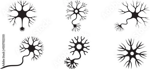 Neuron cell illustrations diverse shapes biology science. eps-10