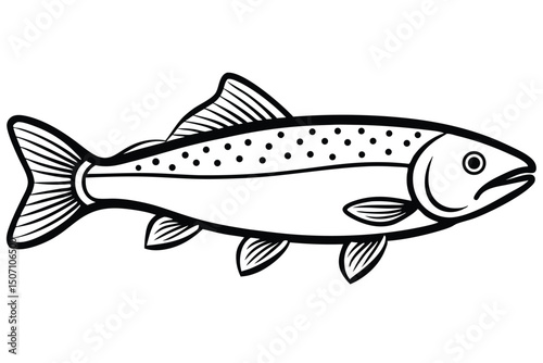 Black and White Illustration of a Salmon Fish with Spots and Fins Outline