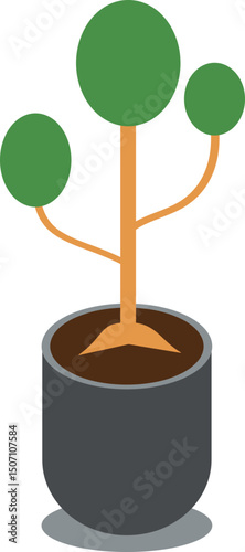 bonsai tree gardening illustration element