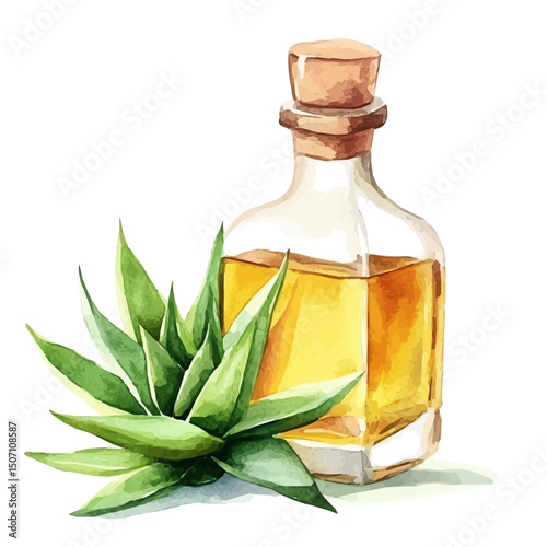 My Watercolor illustration, aloe vera syrup painting illustration isolated on a white background, illustration, AI painting design, vector illustration set, eps format