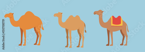 Islamic Camel Icon Collection for Eid al-Adha Qurban Animal Vector Illustration. Set for Hajj, Muslim Holiday, Arabic Festival Decoration, and Idul Adha Sacrifice Day Graphics