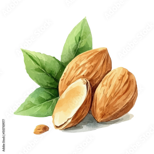 My Watercolor illustration, illustration almond branch with leaves painting illustration isolated on a white background, illustration, AI painting design, vector illustration set, eps format