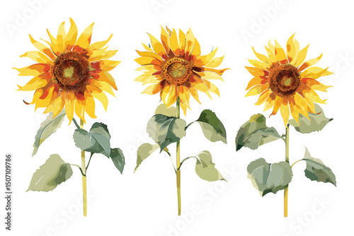 Watercolor hand-painted sunflower elements set, Autumn arrangement, Farmhouse rustic fall decor, harvest Thanksgiving clipart. Birthday summer card. Realistic botanical art