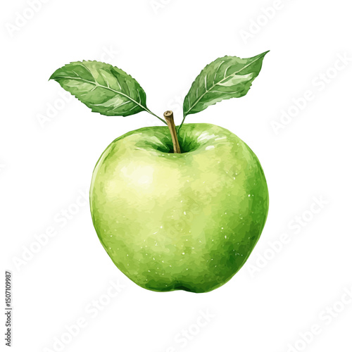My Watercolor illustration, green apple painting illustration isolated on a white background, illustration, AI painting design, vector illustration set, eps format