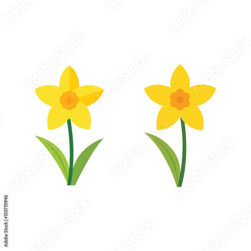 Vector art of Two yellow daffodils isolated on white background in simple vector art