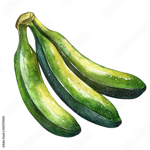 My Watercolor illustration, green banana painting illustration isolated on a white background, illustration, AI painting design, vector illustration set, eps format