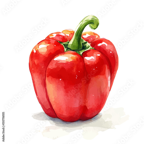 My Watercolor illustration, red bell pepper painting illustration isolated on a white background, illustration, AI painting design, vector illustration set, eps format