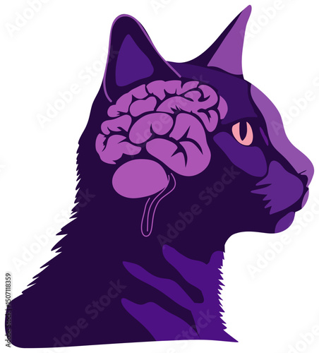 Illustration of Cat Head with Brain Anatomy sticker