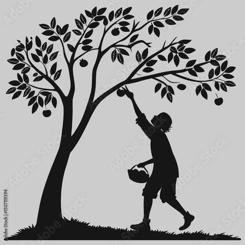 a person picking fruit from a tree silhouette vector design art and illustration