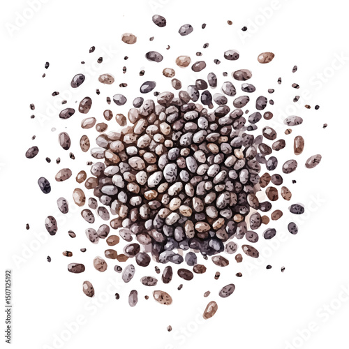 My Watercolor illustration, illustration chia seeds painting isolated on a white background, illustration, AI painting design, vector illustration set, eps format