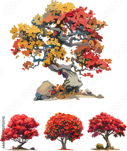 set of flamboyant trees with white background