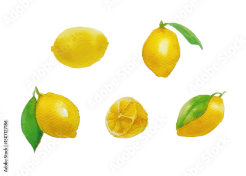 water-color-lemon