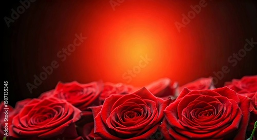Pure real balloon in seven colors flying with red roses for the party background original bright and white background.