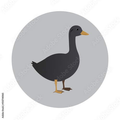 Grey Duck Silhouette Icon
