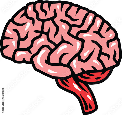 human brain illustration hand drawing