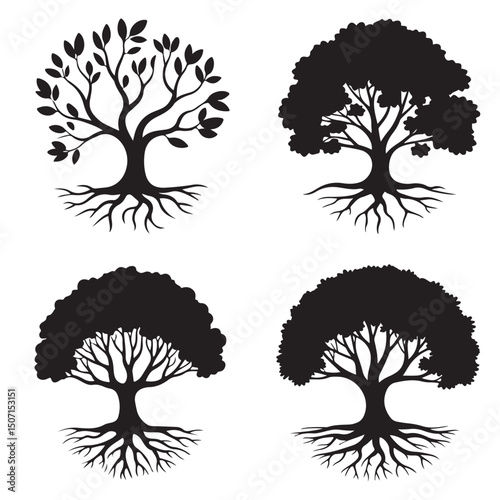 set of black vector family tree silhouette with interconnected branches and roots	