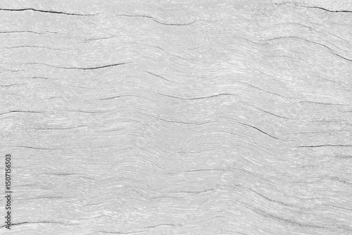 Abstract wood pattern background, black and white, wood texture