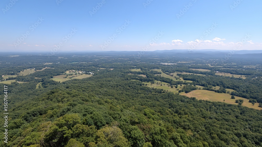 Obraz premium Wide aerial view of entire forest and green fields, vibrant green trees against blue sky, serene yet lively landscape capturing pure natural beauty.