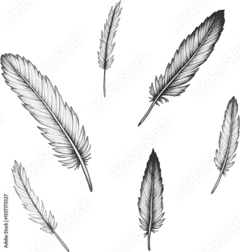 vector set of feathers
