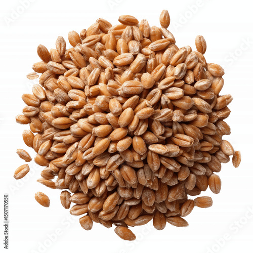 Close-Up of a Pile of Raw Farro Grains against a