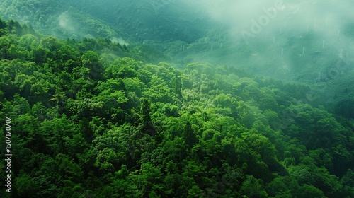 High-Definition Green Natural Scenery Background Images: Modern, Serene, and Visually Appealing for Creative Projects