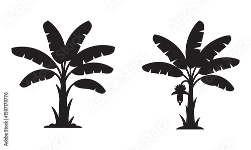 Banana tree black silhouette vector, Simple silhouette Design vector icon with white background.