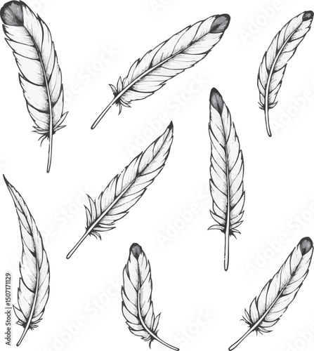 feathers seamless pattern